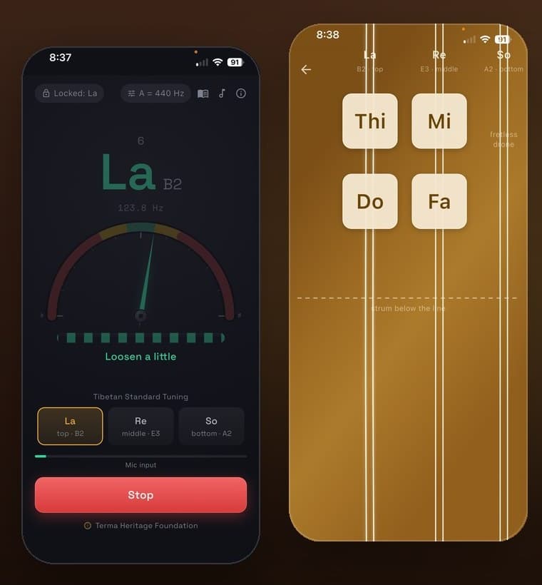 The Dranyen app: the tuner, and the strings to play